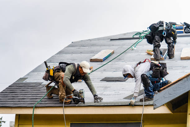 Professional Gutter Installation technician working in Dunbar, SC