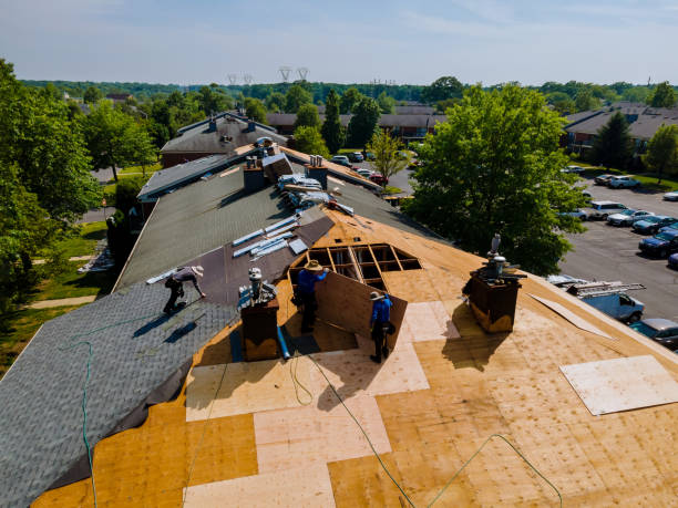 Trusted Roof Replacement service in Dunbar, SC - Brentwood Metal Roofing